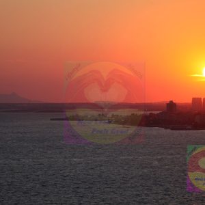 SUN 110